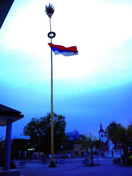 POSTAVLJANJE MLAJA V MENGŠU