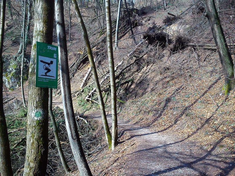 TRIM STEZA NA GOBAVICI PO ŽLEDOLOMU