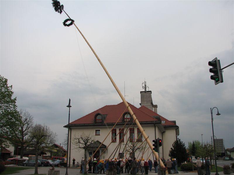 Postavljanje mlaja v Mengšu