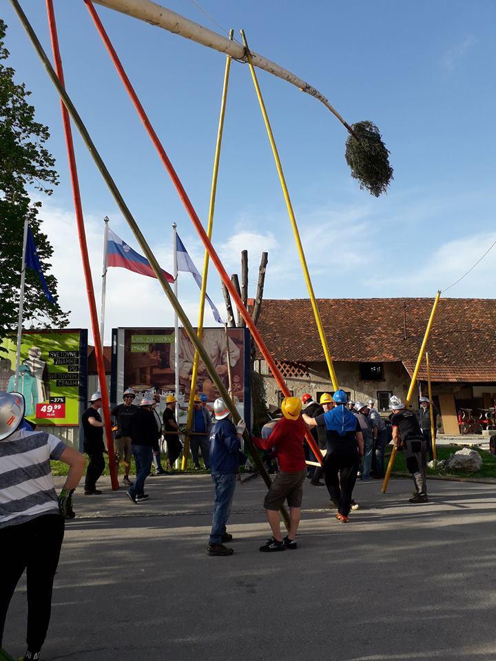 Postavljanje mlaja v Mengšu.