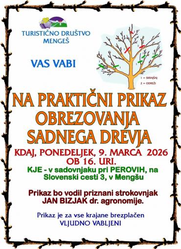 Prikaz obrezovanja sadnega drevja