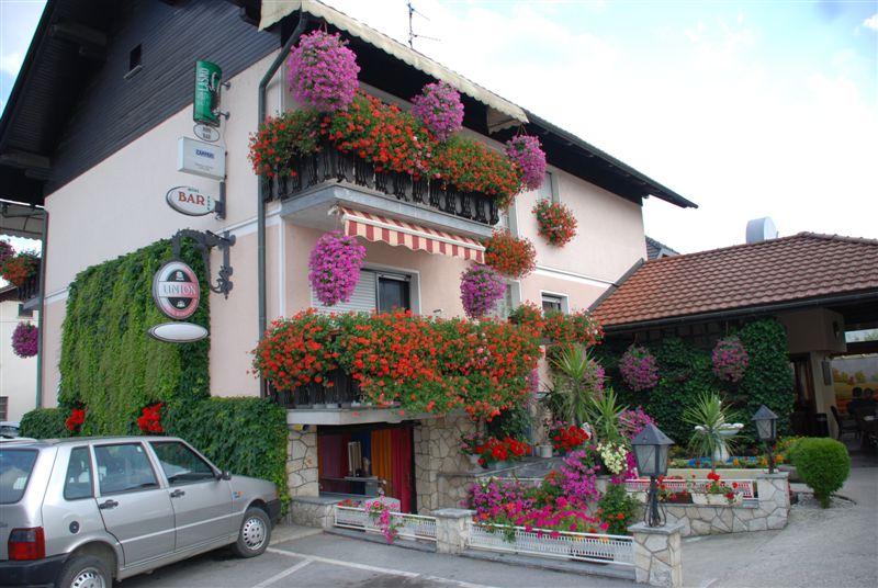POLETJE  2011 V MENGŠU IN OKOLICI